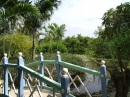 Botanic Park bridge, Cayman